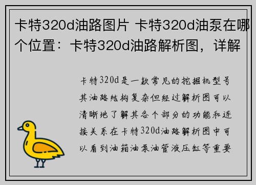 卡特320d油路图片 卡特320d油泵在哪个位置：卡特320d油路解析图，详解其结构及工作原理