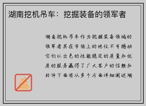湖南挖机吊车：挖掘装备的领军者